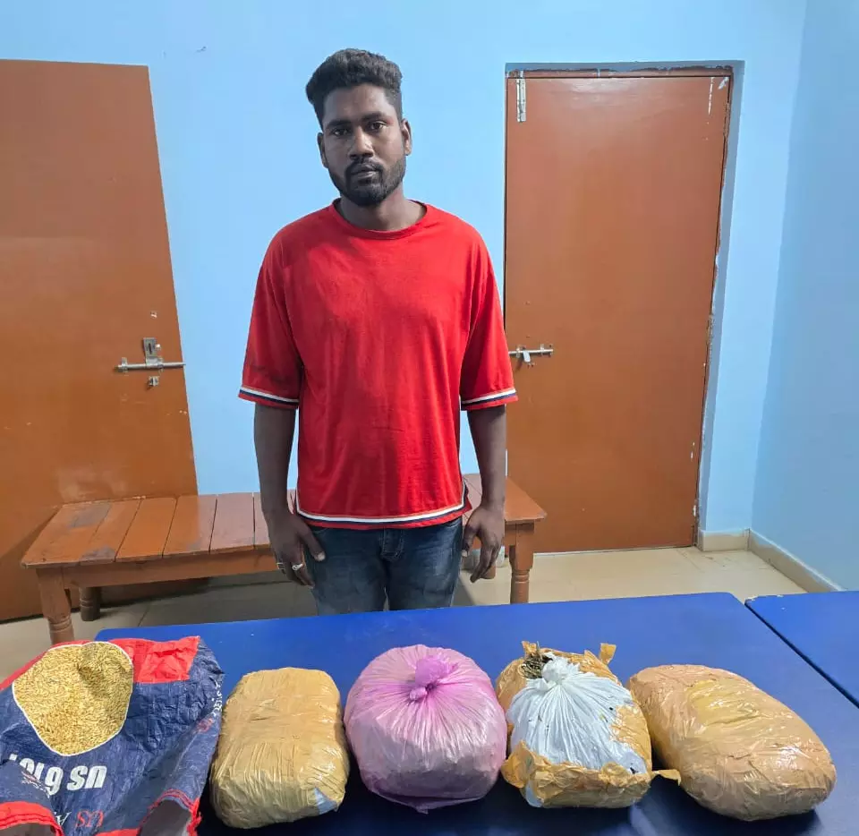 आरंग में गांजा सप्लाई करने निकला था, महासमुंद का युवक अरेस्ट आरंग में गांजा सप्लाई करने निकला था, महासमुंद का युवक अरेस्ट