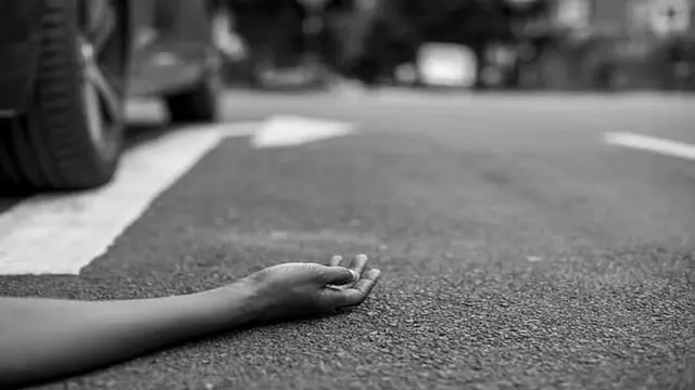 कुत्ते को लेकर विवाद: गोवा में महिला की कार से कुचलकर निर्मम हत्या कुत्ते को लेकर विवाद: गोवा में महिला की कार से कुचलकर निर्मम हत्या