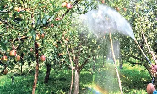 कृषि भूमि पर बेतरतीब निर्माण और पशुपालन की आपूर्ति के खिलाफ कार्रवाई की मांग तेज