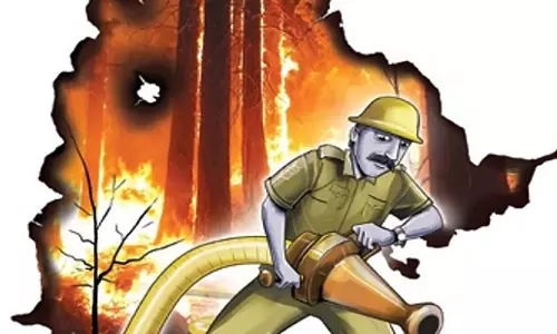 Tamil Nadu: अधिकारियों ने छह घंटे की मशक्कत के बाद जंगल की आग बुझाई