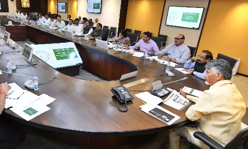 Naidu: सरकार मिर्च किसानों को मूल्य संकट से निपटने में मदद करेगी