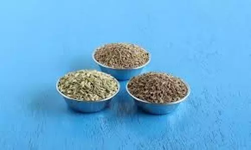 Carom seeds  :इन स्वास्थ्य लाभों के लिए  अपने आहार में  शामिल  करें अजवाइन