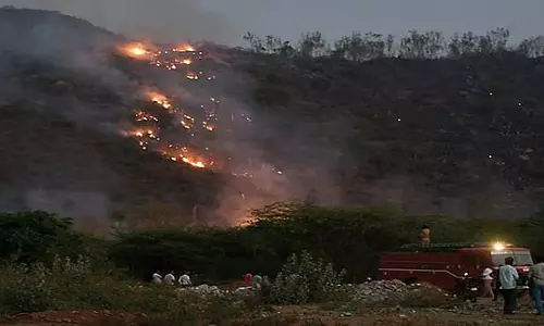 चामुंडी हिल्स में उपद्रवियों के कारण लगी आग: जंगल की आग में 35 एकड़ जंगल नष्ट चामुंडी हिल्स में उपद्रवियों के कारण लगी आग: जंगल की आग में 35 एकड़ जंगल नष्ट