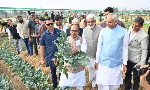 Haryana : प्राकृतिक खेती को बढ़ावा देने के लिए केंद्र सरकार राष्ट्रीय स्तर पर पैनल गठित करेगी