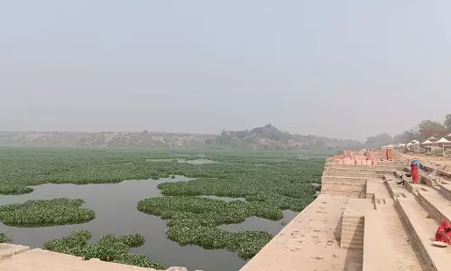 Haryana : बड़खल झील पर जलकुंभी का कब्जा, सफाई पर लाखों खर्च