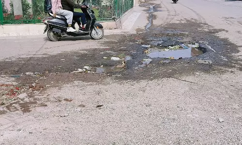Haryana :  पंचकूला के सेक्टर 21 ने नगर निगम से ध्यान देने की गुहार लगाई