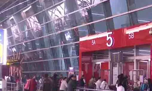IGI एयरपोर्ट पर कस्टम्स ने विदेशी वन्यजीवों की तस्करी पकड़ी
