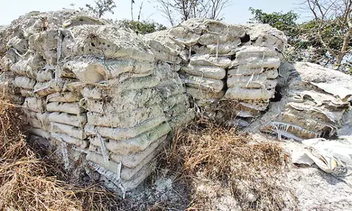 Andhra: अमरावती राजधानी के लिए निर्माण सामग्री तैयार हो रही
