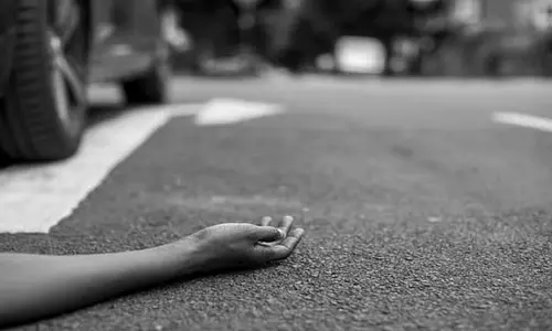 कुत्ते को लेकर विवाद: गोवा में महिला की कार से कुचलकर निर्मम हत्या