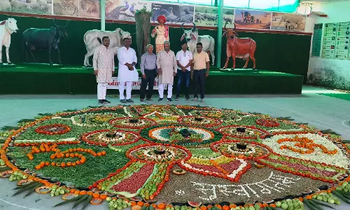 Jalore: मुख्य सचेतक ने महावीर जीव दया गौशाला का किया अवलोकन