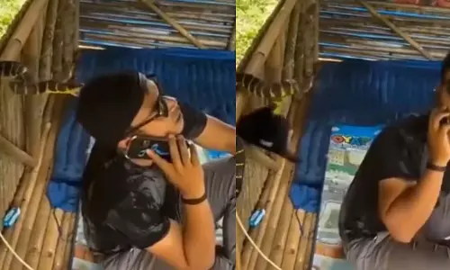 जानलेवा साँप के हमले से बच गया से शख्स! देखें वायरल VIDEO जानलेवा साँप के हमले से बच गया से शख्स! देखें वायरल VIDEO