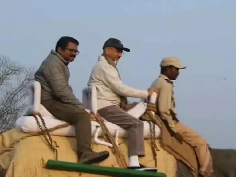 व्यापार शिखर सम्मेलन से पहले जयशंकर ने राजदूतों को काजीरंगा सफारी में ले जाया व्यापार शिखर सम्मेलन से पहले जयशंकर ने राजदूतों को काजीरंगा सफारी में ले जाया