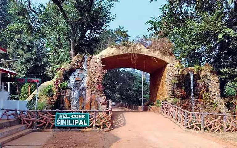 सिमिलिपाल टाइगर रिजर्व में AI कैमरों से अवैध शिकार में कमी आई सिमिलिपाल टाइगर रिजर्व में AI कैमरों से अवैध शिकार में कमी आई