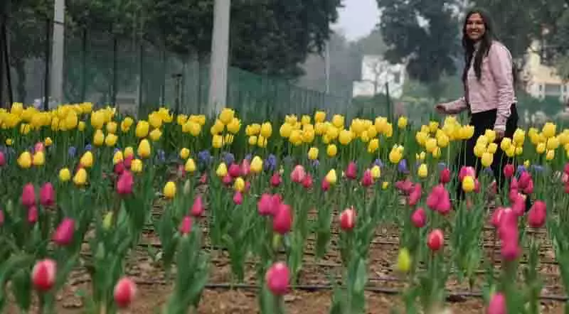 कृषि University के उद्यानों में रंगों और सुगंध का नजारा कृषि University के उद्यानों में रंगों और सुगंध का नजारा