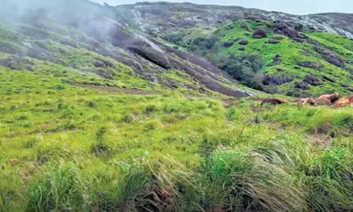Kerala: केरल में अवैध चेक डैम पर एडीएम की रिपोर्ट Kerala: केरल में अवैध चेक डैम पर एडीएम की रिपोर्ट