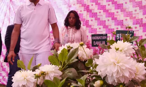 Haryana : बसंत उत्सव में वनस्पतियों के रंगों से सजा अटल पार्क Haryana : बसंत उत्सव में वनस्पतियों के रंगों से सजा अटल पार्क