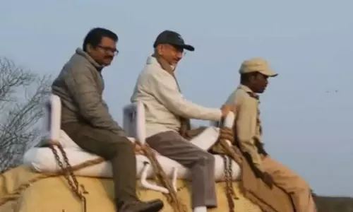 Jaishankar और 45 देशों के राजदूतों ने काजीरंगा राष्ट्रीय उद्यान में हाथी सफारी का आनंद लिया
