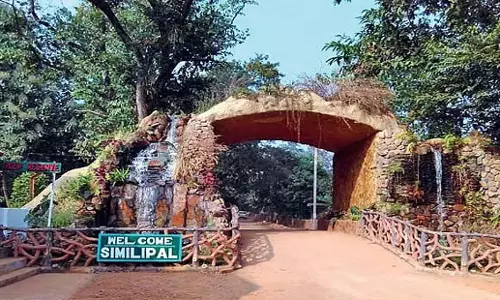 Odisha: सिमिलिपाल टाइगर रिजर्व में एआई कैमरों से अवैध शिकार में कमी आई Odisha: सिमिलिपाल टाइगर रिजर्व में एआई कैमरों से अवैध शिकार में कमी आई