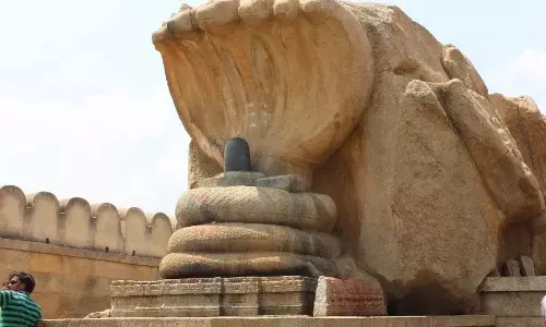 Rayalaseema मंदिर शिवरात्रि के लिए तैयार हो रहे