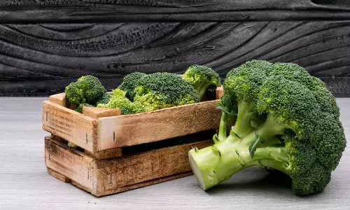 Health News: ब्रोकली को हफ्तेभर तक फ्रेश रखने के लिए जाने सबसे आसान तरीका Health News: ब्रोकली को हफ्तेभर तक फ्रेश रखने के लिए जाने सबसे आसान तरीका