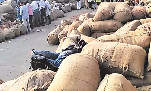 Andhra: मिर्च किसानों को न्याय तभी मिलेगा जब ई-फसल के आधार पर मदद मिले