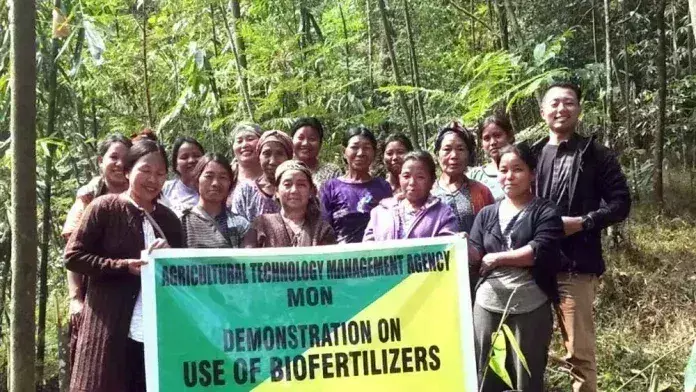 Nagaland : किसानों को आधुनिक खेती का प्रशिक्षण दिया गया Nagaland : किसानों को आधुनिक खेती का प्रशिक्षण दिया गया