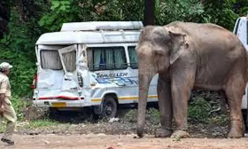 Kannur जंगली हाथी हमला वन मंत्री ने अरलम में सर्वदलीय बैठक बुलाई
