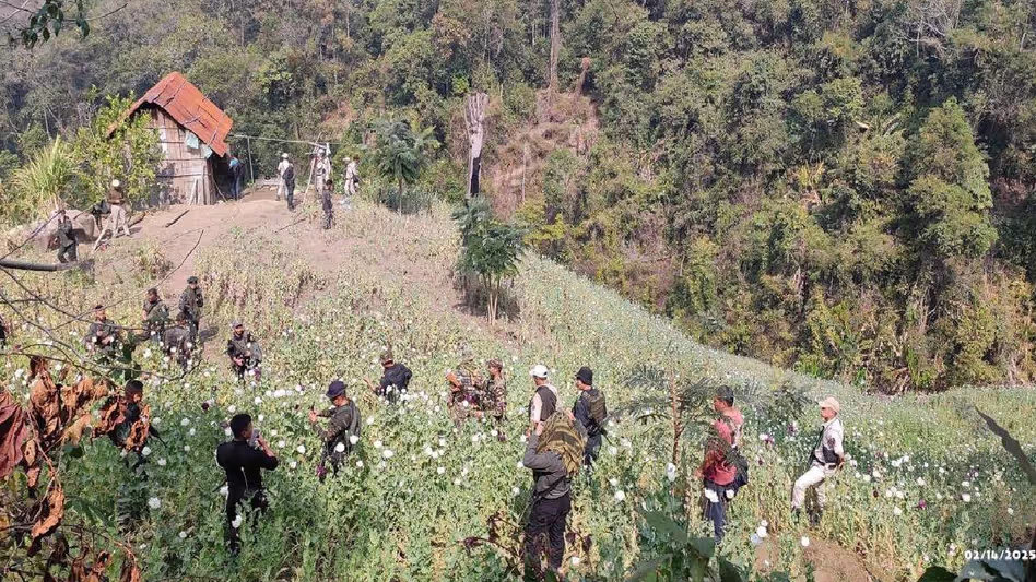 Manipur सुरक्षा बलों ने तामेंगलोंग जिले में 10 एकड़ अवैध अफीम की खेती नष्ट की Manipur सुरक्षा बलों ने तामेंगलोंग जिले में 10 एकड़ अवैध अफीम की खेती नष्ट की