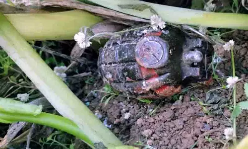 Himachal: स्कूल के पास जिंदा ग्रेनेड मिला, सुरक्षित तरीके से निपटाया गया Himachal: स्कूल के पास जिंदा ग्रेनेड मिला, सुरक्षित तरीके से निपटाया गया