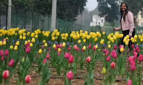कृषि University के उद्यानों में रंगों और सुगंध का नजारा