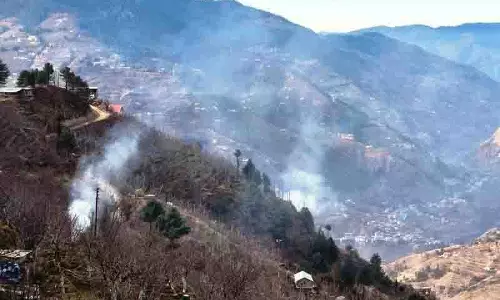 Himachal: सेब उत्पादक बागानों के कचरे को जलाने पर रोक लगाने के लिए अदालत जाएंगे