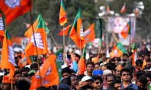 BJP ने की मंडल अध्यक्ष और प्रतनिधि के नामों की घोषणा