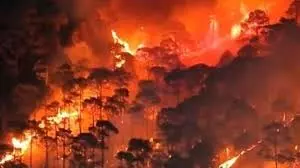 Uttarakhand : जंगल धधक उठे, दमकल विभाग ने कड़ी मशक्कत से बुझाई आग Uttarakhand : जंगल धधक उठे, दमकल विभाग ने कड़ी मशक्कत से बुझाई आग
