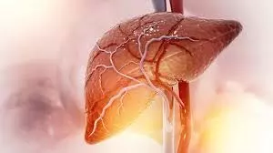 Health: एक महीने में लिवर होगा डिटॉक्स, बस अपनाएं ये कारगर टिप्स Health: एक महीने में लिवर होगा डिटॉक्स, बस अपनाएं ये कारगर टिप्स