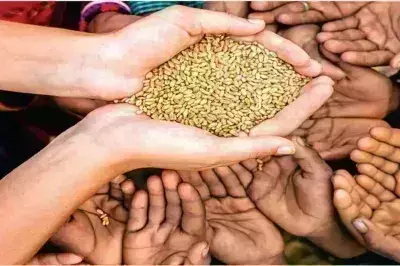 Rajasthan: खाद्य सुरक्षा योजना में चयनित सक्षम परिवार गिव-अप अभियान के तहत 28 फरवरी तक Rajasthan: खाद्य सुरक्षा योजना में चयनित सक्षम परिवार गिव-अप अभियान के तहत 28 फरवरी तक