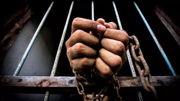 NCR Ghaziabad: साइबर पुलिस ने फर्जी वेबसाइट से ठगी करने वाले नाइजीरियन को दबोचा NCR Ghaziabad: साइबर पुलिस ने फर्जी वेबसाइट से ठगी करने वाले नाइजीरियन को दबोचा