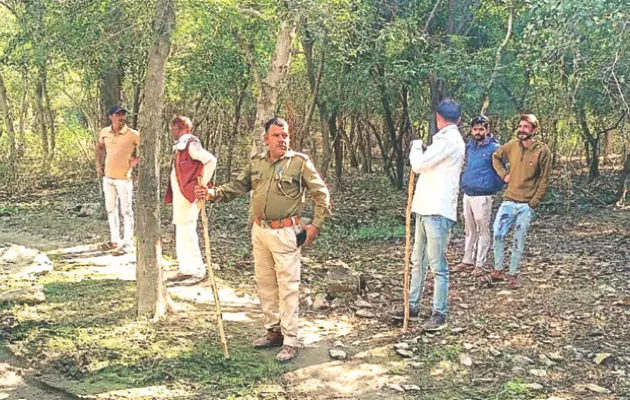 Ajmer के गुलाबबाड़ी वन खण्ड में मातृ वन विकसित करने का कार्य शीघ्र होगा शुरु Ajmer के गुलाबबाड़ी वन खण्ड में मातृ वन विकसित करने का कार्य शीघ्र होगा शुरु