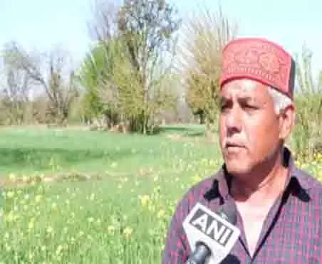 उधमपुर में बारिश से स्ट्रॉबेरी उत्पादकों को राहत मिली, सूखा खत्म उधमपुर में बारिश से स्ट्रॉबेरी उत्पादकों को राहत मिली, सूखा खत्म
