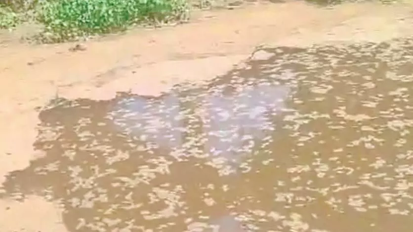 Benaulim के नागरिकों ने उमिया मर्काडो मॉल के पास जलाशयों में अवैध भराव की निंदा की Benaulim के नागरिकों ने उमिया मर्काडो मॉल के पास जलाशयों में अवैध भराव की निंदा की
