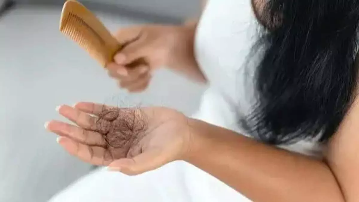 Buldhana में बाल झड़ने की समस्या: आपके गेहूं में छिपा खतरा Buldhana में बाल झड़ने की समस्या: आपके गेहूं में छिपा खतरा