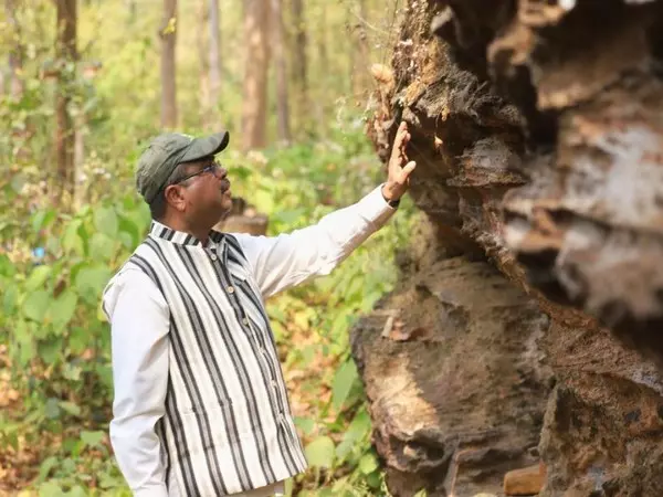 केंद्रीय मंत्री धर्मेंद्र प्रधान ने प्रागैतिहासिक भीमा मंडली स्थल के विश्व स्तरीय विकास पर जोर दिया केंद्रीय मंत्री धर्मेंद्र प्रधान ने प्रागैतिहासिक भीमा मंडली स्थल के विश्व स्तरीय विकास पर जोर दिया