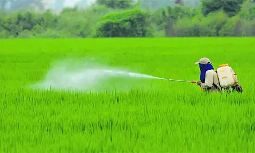 Odisha: सूचीबद्ध बीज उत्पादकों ने इनपुट सहायता जारी करने में देरी की निंदा की