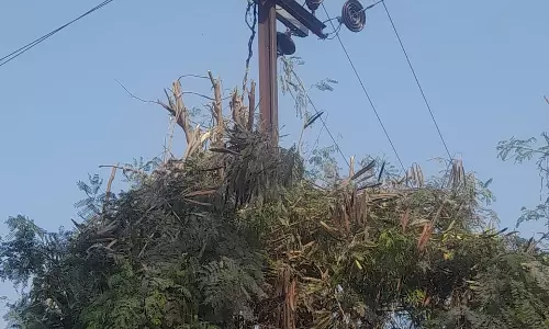 Badaun: बिजली की लाइनों के नजदीक स्थित पेंड़ों की छटाई का काम शुरु Badaun: बिजली की लाइनों के नजदीक स्थित पेंड़ों की छटाई का काम शुरु
