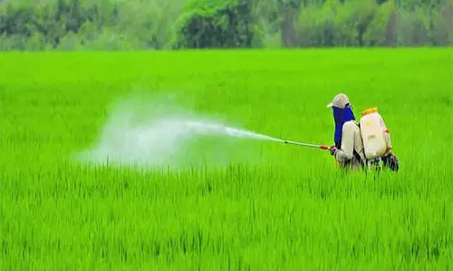 Odisha: सूचीबद्ध बीज उत्पादकों ने इनपुट सहायता जारी करने में देरी की निंदा की Odisha: सूचीबद्ध बीज उत्पादकों ने इनपुट सहायता जारी करने में देरी की निंदा की