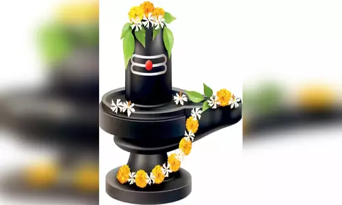 दूध-दही ही नहीं, महाशिवरात्रि पर इन सामग्रियों का भी है विशेष महत्व, चढ़ाने से प्रसन्न होते हैं भोलेनाथ