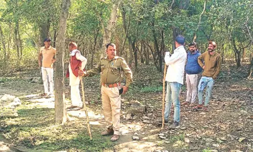 Ajmer के गुलाबबाड़ी वन खण्ड में मातृ वन विकसित करने का कार्य शीघ्र होगा शुरु