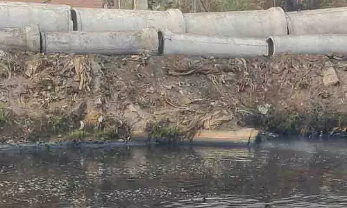 अगली सुनवाई से पहले अनुपालन रिपोर्ट दाखिल करें राज्य: NGT