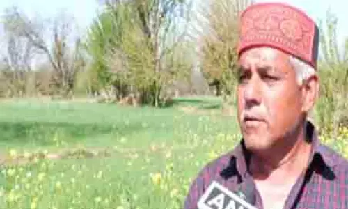 उधमपुर में बारिश से स्ट्रॉबेरी उत्पादकों को राहत मिली, सूखा खत्म उधमपुर में बारिश से स्ट्रॉबेरी उत्पादकों को राहत मिली, सूखा खत्म