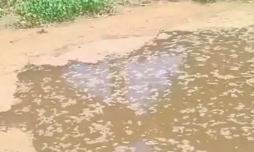 Benaulim के नागरिकों ने उमिया मर्काडो मॉल के पास जलाशयों में अवैध भराव की निंदा की Benaulim के नागरिकों ने उमिया मर्काडो मॉल के पास जलाशयों में अवैध भराव की निंदा की