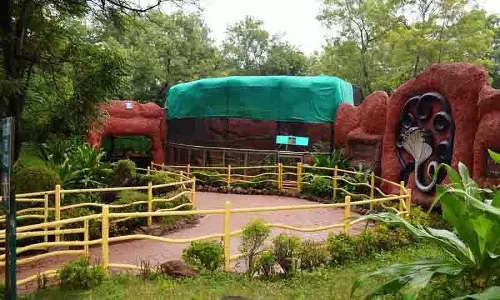 Hyderabad Zoo घूमना हुआ महंगा, जानिए नई दरें Hyderabad Zoo घूमना हुआ महंगा, जानिए नई दरें